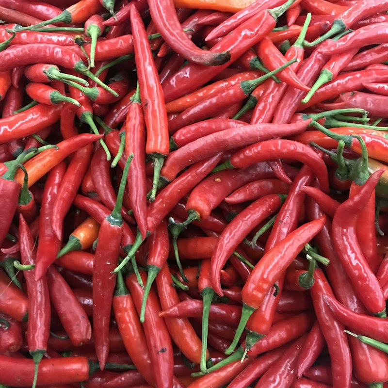 Red Chillies
